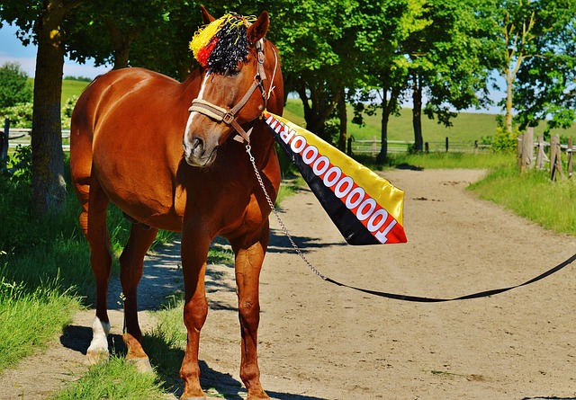 星空app官网登录官方网站