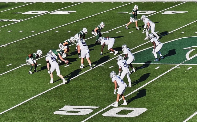 星空app官网登录官方网站