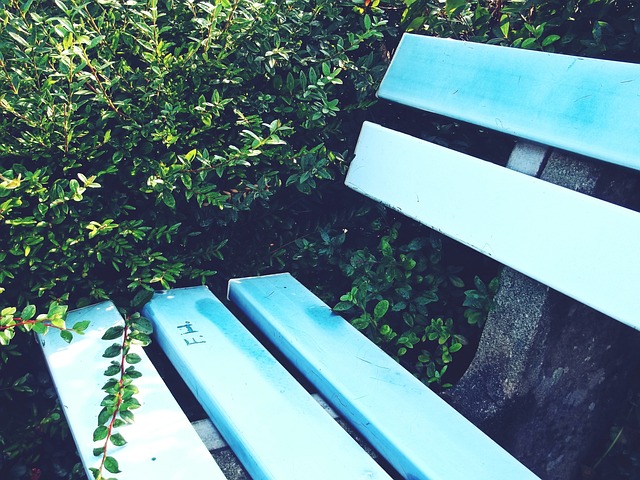 星空app官网登录官方网站