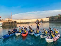 们能够吸引 们能够吸引