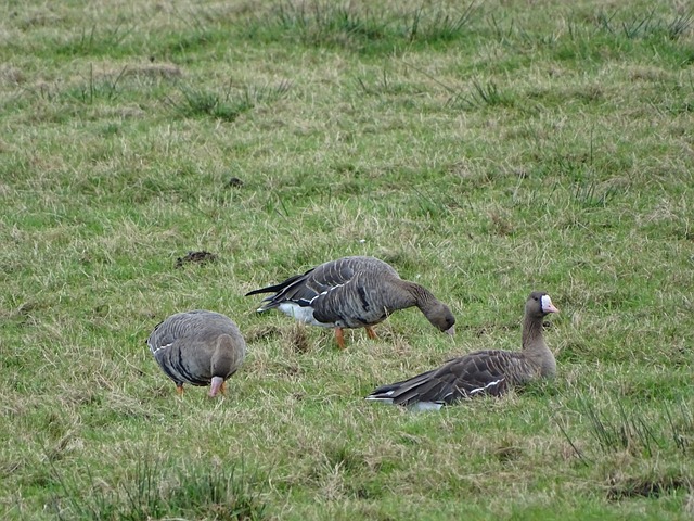 星空app官网登录官方网站