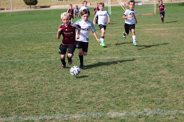 与技术能力 与技术能力