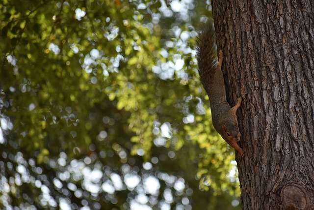 星空app官网登录官方网站